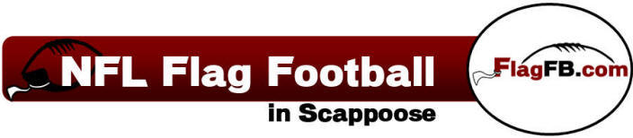 NFL football logo